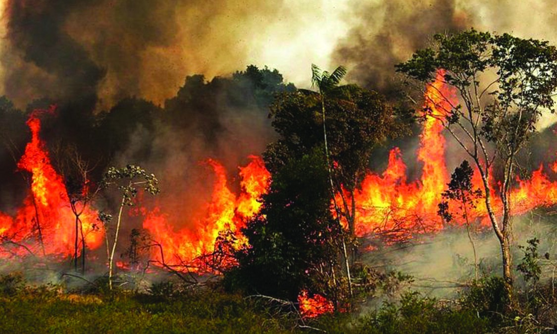 डोल्पा आगलागीमा गम्भीर घाइते भएका तीनै बालकको मृत्यु, सिङ्गो गाउँनै शोकमा डुब्यो