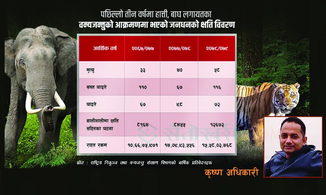 हात्ती र बाघको आक्रमणबाट मानवीय क्षति बढ्दो