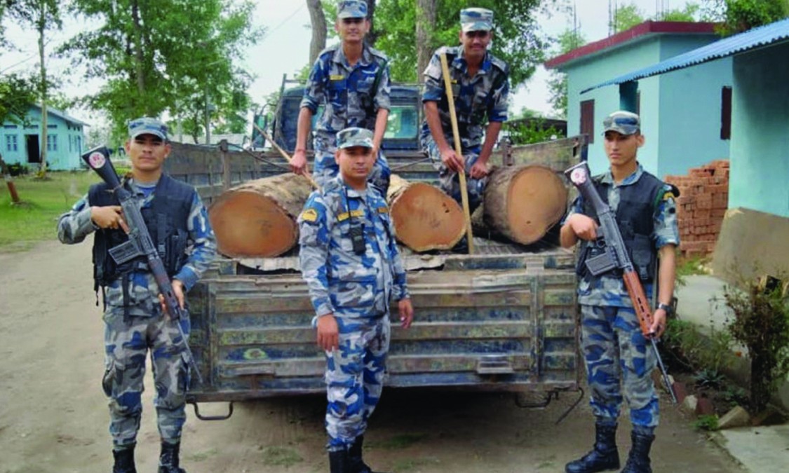 गहुँ लोड गरिएको ट्याक्टरभित्र २६ थान सालको अवैध काठ