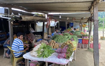 हर्रेमा हरियो तरकारी