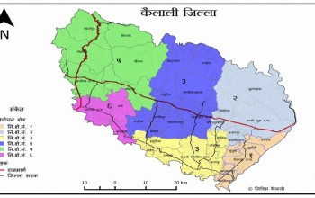 कैलाली बाढीको असर : स्थानीय तरकारी पाउनै मुस्किल