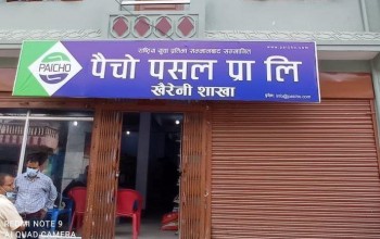 खैरेनीमा सुरु भयो पैचोको कारोबार