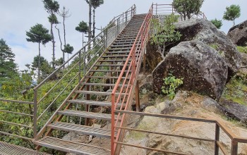 दामनमा बन्यो ७० मिटर लामो फलामे भर्‍याङ