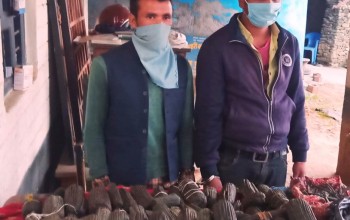 २५ किलो चरेश सहित दुईजना पक्राउ
