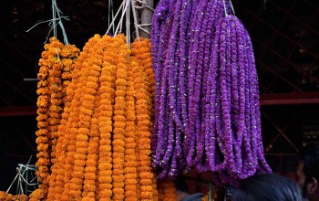 तनहुँमा यस वर्षको तिहारका लागि यस्तो छ सुरक्षा व्यवस्था, देउसीभैलो खेल्न मनाही