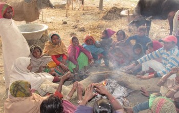 मंसिरमै तराईमा लगलगी कमाउने जाडो