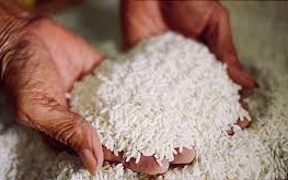 उपल्लो डोल्पामा दुई वर्षपछि खाद्यान्न ढुवानी