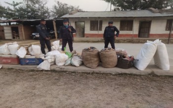 प्रहरीद्वारा बरामद गरिएको एक क्विन्टल अबैध माछा नष्ट