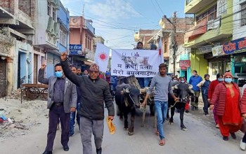 बयलगाडा लिएर प्रचण्ड–नेपाल पक्ष सीडीओ कार्यालय पुगे