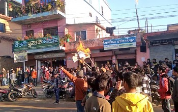 मप विश्वविद्यालयका उपकुलपति सिंहको पुत्ला जलाइयो