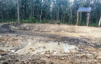 वन्यजन्तुको तीर्खा मेटाउन निकुञ्जमा सोलारसहितको पानी पोखरी