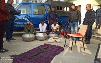 संरक्षित माछा र दुईमुखे सर्प सहित ४ जना नियन्त्रण