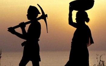 किसानले पाउने बीमा रकममा २५ प्रतिशत कटौति गरेकोमा चार किसान संघको बिरोध