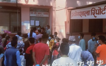 बाँकेका थप ५१ जनामा कोरोना संक्रमण