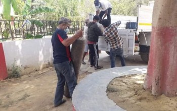 अक्सिजन सिलिण्डरको खोजीमा नेपालगन्जका मेयर राणा