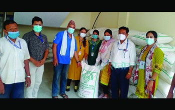 नेपालगन्जमा ५० प्रतिशत अनुदानमा धानको विउ