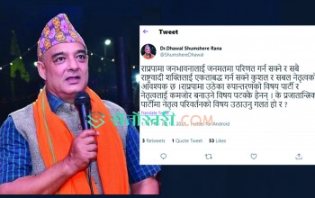 ‘के प्रजातान्त्रिक पार्टीमा नेतृत्व परिवर्तनको विषय उठाउनु गलत हो र ?’ : मेयर राणा