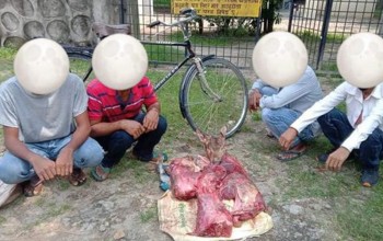 ठूलो मात्रामा चित्तलको मासुसहित ४ पक्राउ