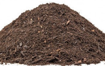 कुखुराको सुलीबाट बिजुली ! ६२ केभिएको जेनेरेटर