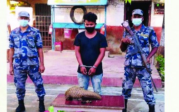 सालकको खपटासहित बर्दियाका नकुल सशस्त्र प्रहरीको नियन्त्रणमा
