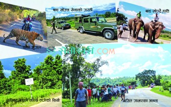 महेन्द्रराजमार्गमा मान्छे खाने बाघको ‘मार्चपास’, नियन्त्रणमा लिन हात्ती र सेना परिचालन