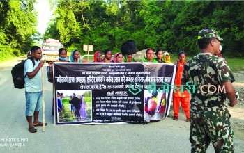 पैदल हिँडेको रुवि खानको टोली बाघको डरले गाडीमा गयो