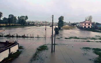 बाढीपहिरामा परी मृत्यु हुनेको संख्या ४८ पुग्यो, ३१ जना बेपत्ता