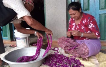 व्यावसायिक फूलखेती : तिहार नजिकिएसँगै माला उन्न वनमाला टोलका बासिन्दालाई भ्याइनभ्याइ