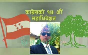 आफ्नै गुटले हराएपछि डिल्लीको ‘विचल्ली’