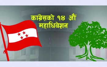 यी हुन् नेपाली काँग्रेस प्रदेश कार्यसमितिका काम, कर्तव्य र अधिकार