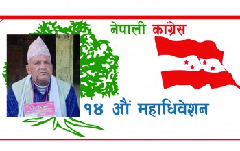 बाँके प्रदेश सभा १ (ख)मा संस्थापन इतरको प्यानल विजयी