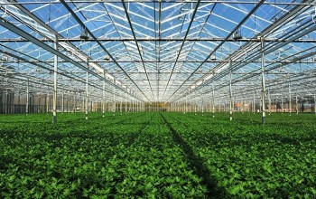 गोरखामा नमूना ग्रीन हाउस निर्माण गरिने