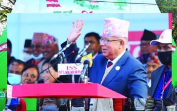 राजाले पार्टी खोले हुन्छ नभए व्यापार गरे हुन्छ : माधव नेपाल