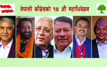 काँग्रेस महाधिवेशन : १३४ कार्यसमितिका लागि ५४८ जनाको उम्मेदवारी