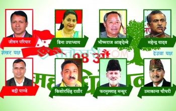 काँग्रेस सहमहामन्त्रीमा देउवा पक्षका ६ जना विजयी
