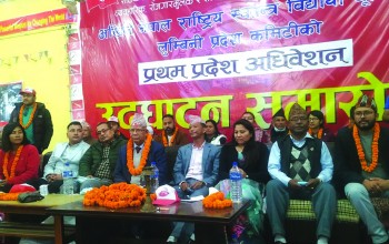 एमसीसिका बुँदा परिमार्जन भए मात्र पारित हुन्छ : नेकपा एस अध्यक्ष नेपाल