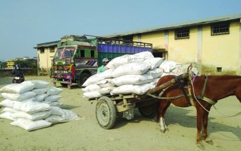 बाँकेका किसानले रासायनिक मल पाएनन्