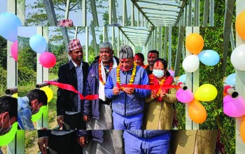चमकदारपुरको काठको पुल विस्थापित