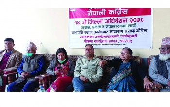 गौडेल समूहको सदस्य पदका उम्मेदवाहरुको घोषणा