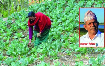कसरी चिन्ने अर्गानिक उत्पादन ?