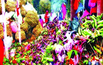 महाशिवरात्रिमा भन्टाको भार बेचेरै मनग्य आम्दानी