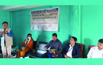 ग्रीन सिटीको पाइलट प्रोजेक्ट : किसानलाई तालिम शुरु