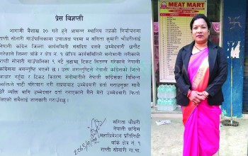 काँग्रेसले टिकट वितरणमा मनोमानी गरेपछि संगिताले उपाध्यक्षको टिकट फिर्ता गरिन