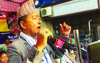 लिङ्देनले सरकारलाई भने: इतिहासको सम्मान गर्न सिक