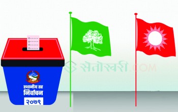 ५५१ पालिकाको नतिजा : काँग्रेस पहिलो, एमाले दोस्रो