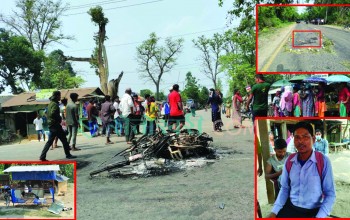बाघ नियन्त्रणको माग गर्दै भएको शान्तिपूर्ण आन्दोलन उग्र बन्दा नविनाको ज्यान गयो