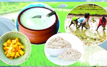 असार १५ मै किन खाइन्छ दही–चिउरा ?
