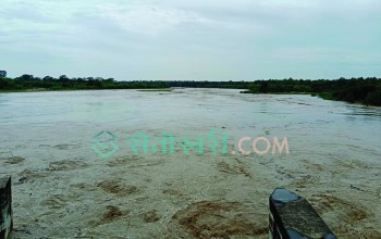 राप्ती नदीले खतराको तह पार गर्‍यो, तटीय क्षेत्रमा डुवानको खतरा