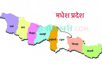 मधेशका ३९ स्थानीय तहले बजेट विवरण बुझाएनन्