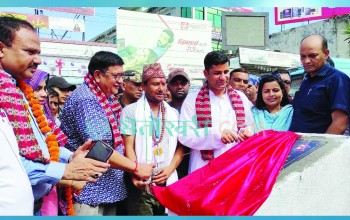 मतदाता प्रभावित पार्न शिलान्यास र उद्घाटन